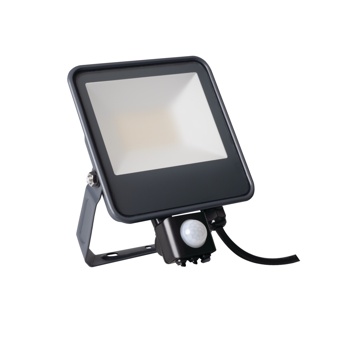 Naświetlacz LED IQ-LED FL-30W-NW-SE z czujnikiem ruchu, barwa neutralna, KANLUX 33887/KAN 5905339338877