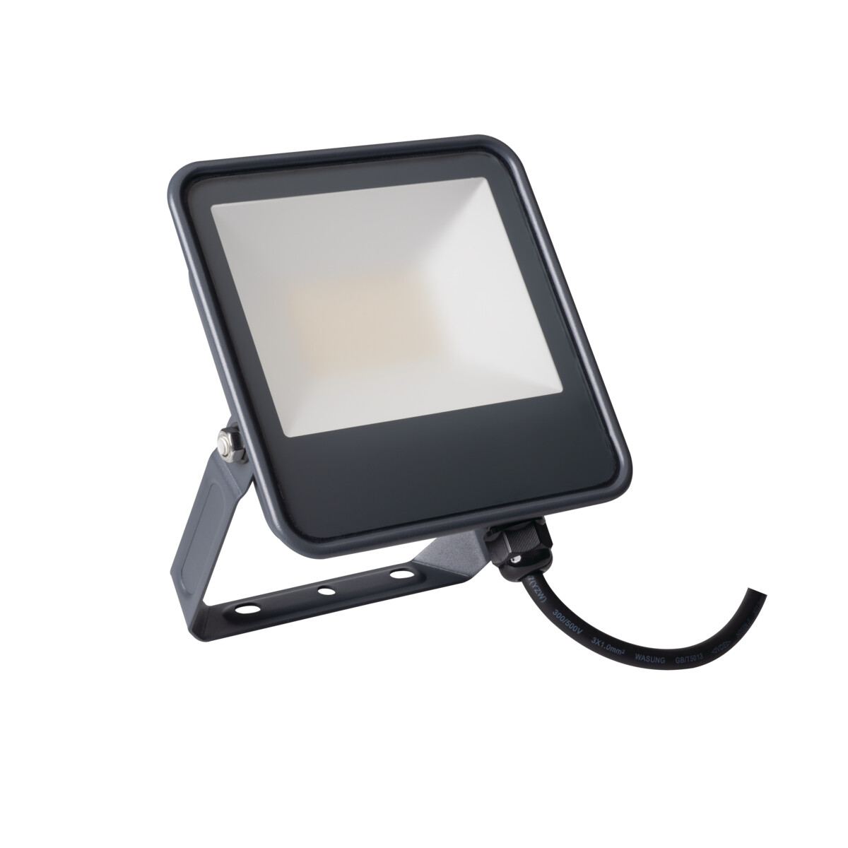 Naświetlacz LED IQ-LED FL-30W-NW, barwa neutralna, KANLUX 33882/KAN 5905339338822